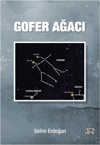 Gofer Ağacı - Selim Erdoğan - Nota Bene Yayınları