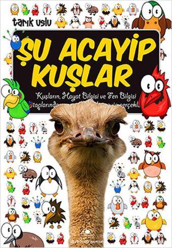 Şu Acayip Kuşlar - Tarık Uslu - Uğurböceği