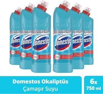 Domestos Çamaşır Suyu Yoğun Kıvamlı Okaliptus Ferahlığı 750 Ml 6 Adet