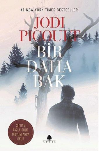 Bir Daha Bak - Jodi Picoult - April Yayıncılık