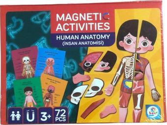 Oyuncak Store Magnetik Aktiviteler İnsan Anatomisi Serisi 72 Parça - Magnetic Activities Human Anatomy 72 Pcs