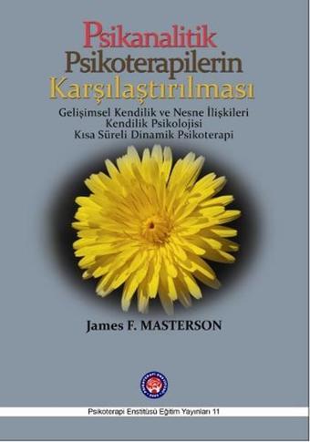 Psikanalitik Psikoterapilerin Karşılaştırılması - James F. Masterson - Psikoterapi Enstitüsü