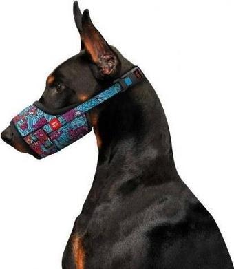 Waudog Collar Köpek Ağızlığı Summer desenli boyut 35-43 cm