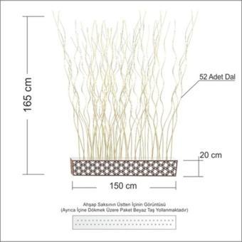 M3Decorium 150Cm Geniş Saksı Altıköşe Desen Dal Oda Bölme Seperatör Paravan