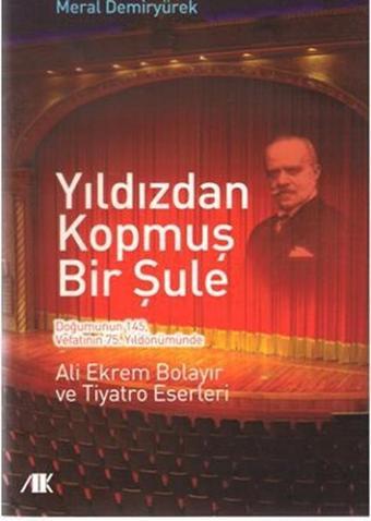 Yıldızdan Kopmuş Bir Şule - Meral Demiryürek - Akademik Kitaplar