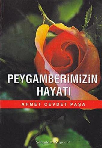 Peygamberimizin Hayatı - Kolektif  - Şenyıldız