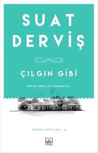 Çılgın Gibi - Suat Derviş - İthaki Yayınları