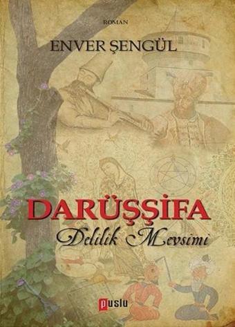 Darüşşifa - Delilik Mevsimi - Enver Şengül - Puslu Yayıncılık