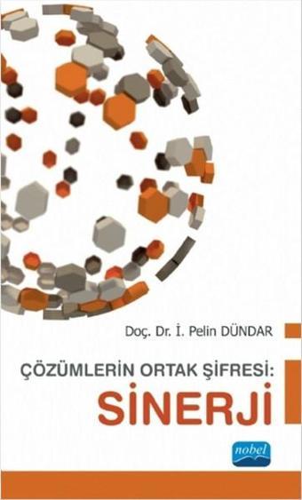 Çözümlerin Ortak Şifresi - Sinerji - Nobel Akademik Yayıncılık