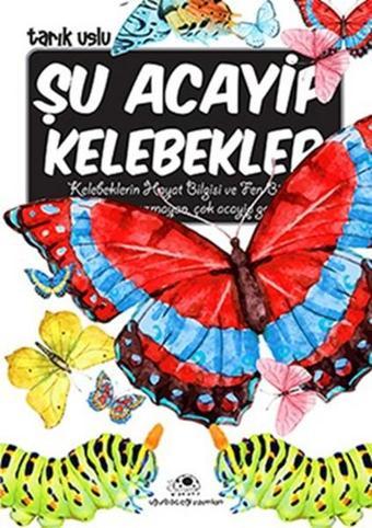 Şu Acayip Kelebekler - Uğurböceği