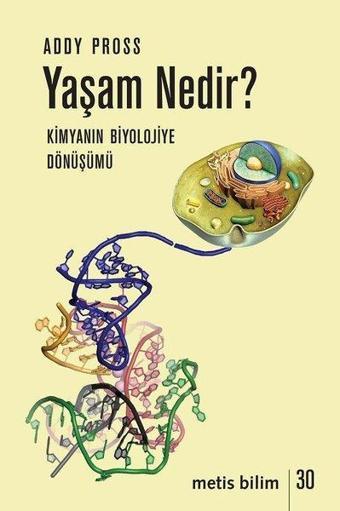 Yaşam Nedir? Biyolojinin Kimyaya Dönüşümü - Addy Pross - Metis Yayınları