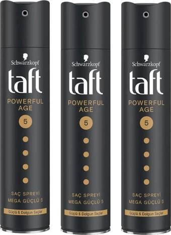 Taft Saç Spreyi Powerfull Age 250ml 3 Adet No:5
