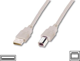 USB 2.0 Bağlantı Kablosu, USB A Erkek - USB B Erkek, 1.8 metre, AWG 28, USB 2.0 uyumlu, UL, bej renk