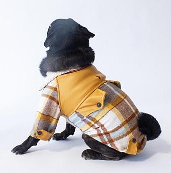 Pawstar Mavi Plaid e Pelle Kedi Köpek Ceketi Kedi Köpek Kıyafeti Kedi Köpek Elbisesi - XL