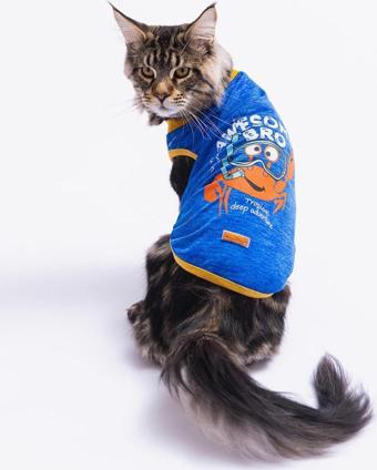 Pawstar Saks Crab Kedi Köpek Tişörtü 2XL- Kedi Köpek Kıyafeti