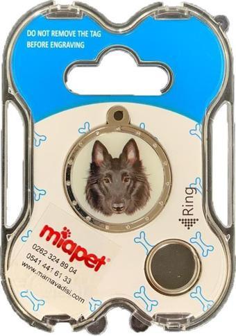 NW Köpek Künyesi İsimlikli pt137
