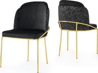 Sivas Gözde Mobilya Polo Mutfak Sandalyesi Gold Ayak 2'li Set