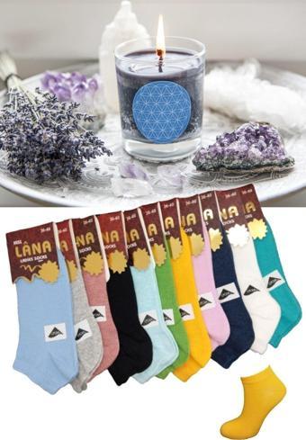 KRAL SOCKS Çorabı Renkli (10 Çift) Likralı Pamuklu Penye Kadın Patik Çorap