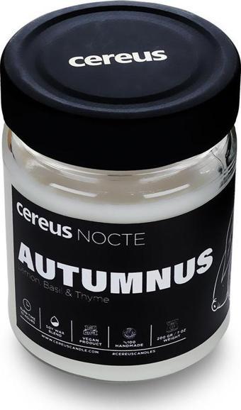 Cereus Nocte Autumnus Lime & Fesleğen Kokulu Soya Mum (210 Gr)