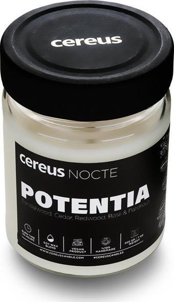 Cereus Nocte Potentia Sandal Ağacı Kokulu Soya Mum (210 Gr)