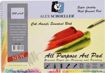 Alex Schoeller 35 x 50 Spiralli Resim Defteri 200 Gr. 15 Yp. ALX-892