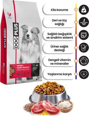 Düşük Tahıllı Hipoalerjenik Kuzu Etli Pirinçli Yetişkin Köpek Maması 15 Kg