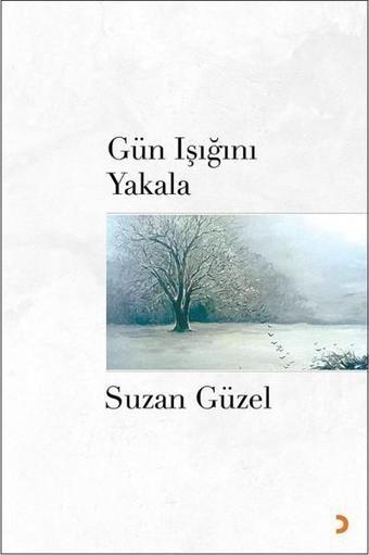 Gün Işığını Yakala - Suzan Güzel - Cinius Yayınevi