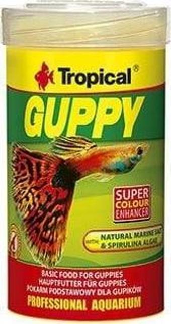 Tropical Guppy Lepistes Balıkları için Pul Balık Yemi 250 Ml 50 Gr