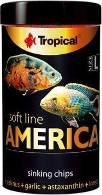 Tropical Softline American Ciklet Cips Balık Yemi Large 100 Ml 52 Gr