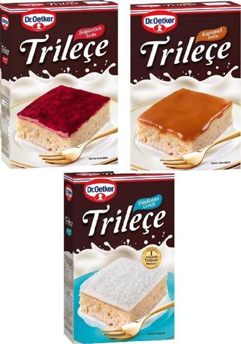 Dr. Oetker Trileçe 3 Çeşit Böğürtlen Soslu -karamel Soslu-hindistan Cevizli Trileçe