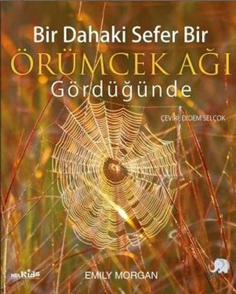 Bir Dahaki Sefer Bir Örümcek Ağı Gördüğünde - Emily Morgan - Nobel Çocuk