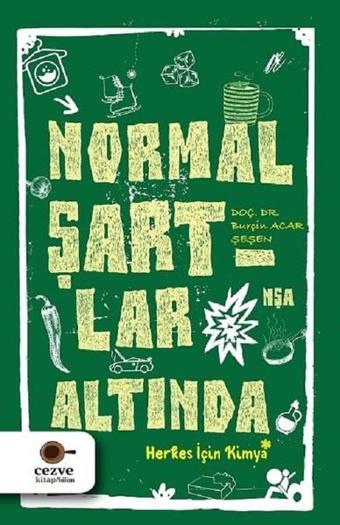 Normal Şartlar Altında - Burçin Acar - Cezve Kitap