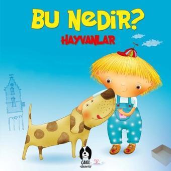 Bu Nedir?-Hayvanlar - Kolektif  - Çakıl