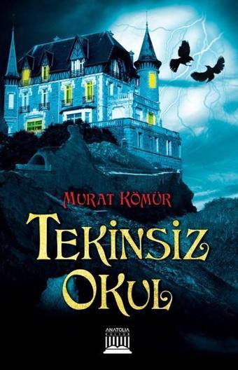 Tekinsiz Okul - Murat Kömür - Anatolia Kültür