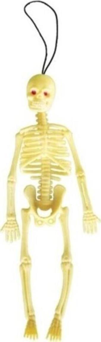 Plastik Insan Iskelet Modeli Silikon İskelet Deney - 20 cm