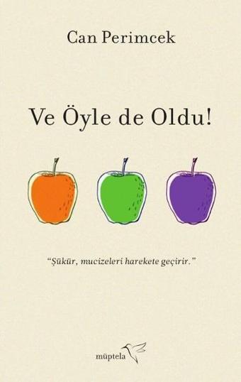 Ve Öyle de Oldu! - Can Perimcek - Müptela Yayınları