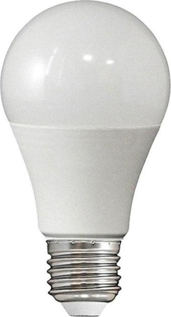 Panther 9 watt 10 Adet Gün Işığı Led Ampul 3000K