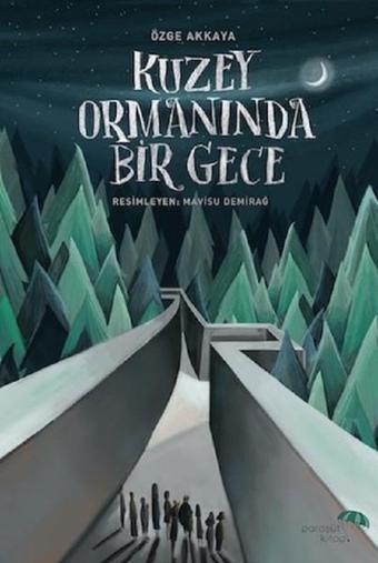 Kuzey Ormanında Bir Gece - Özge Akkaya - Paraşüt Kitap