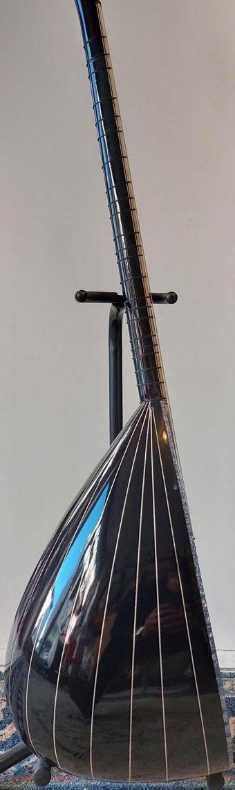 Artemis Elektro Bağlama (Leslili) Model-4