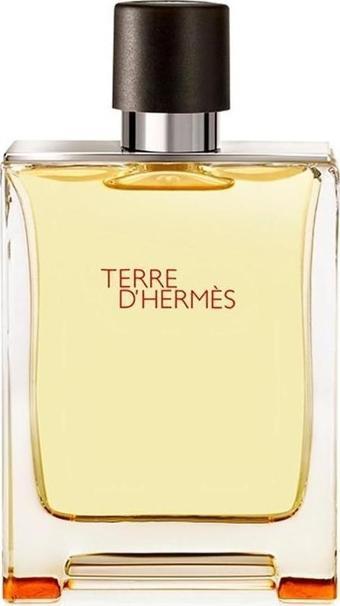 Hermes Terre D'Hermes EDT 100 ml Erkek Parfüm