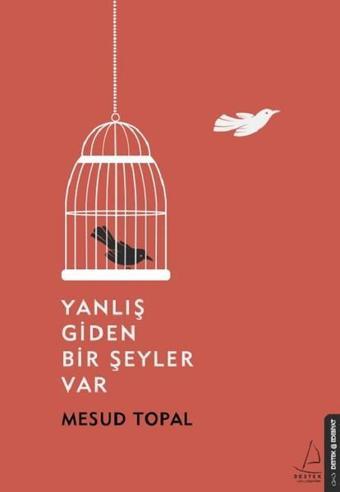 Yanlış Giden Bir Şeyler Var - Mesud Topal - Destek Yayınları