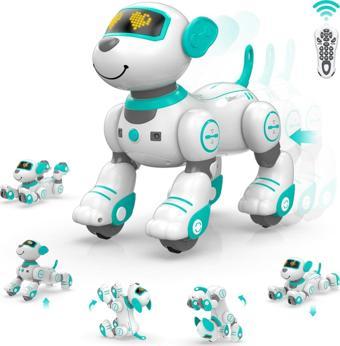 STEMTRON Programlanabilir Uzaktan Kumandalı Robot Köpek - Turkuaz