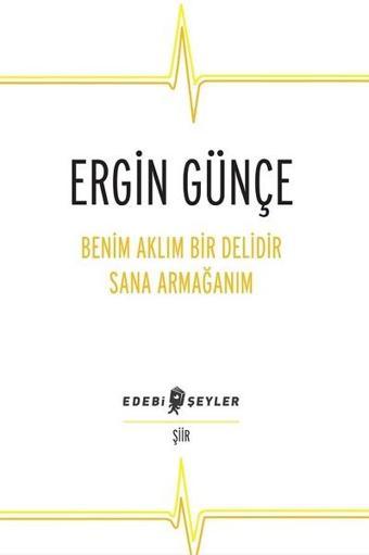 Benim Aklım Bir Delidir Sana Armağanım - Ergin Günçe - Edebi Şeyler