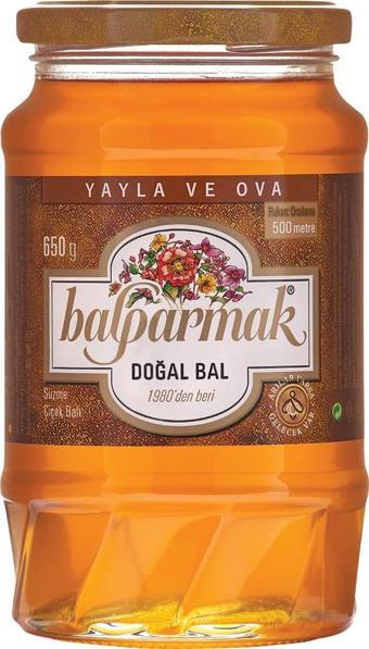 Balparmak Yayla ve Ova Çiçek Balı 650 g