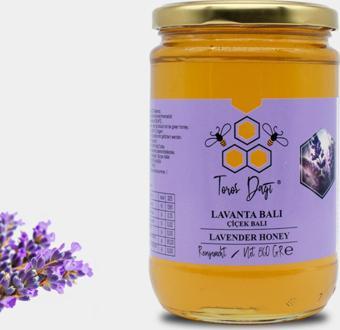 Toros Dağı Lavanta Balı 860 gr