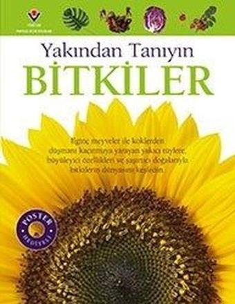 Bitkiler-Yakından Tanıyın - David Burnie - Tübitak Yayınları