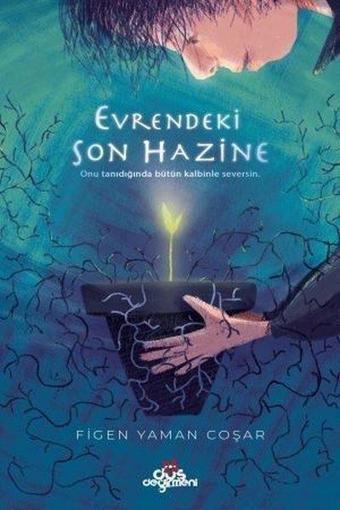 Evrendeki Son Hazine - Figen Yaman Coşar - Düş Değirmeni