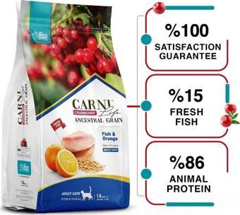 Carni Life Somon Portakal ve Kızılcıklı Kısırlaştırılmış Yetişkin Kedi Maması 5 KG