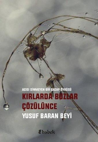 Kırlarda Buzlar Çözülünce - Yusuf Baran Beyi - Babek Yayınları