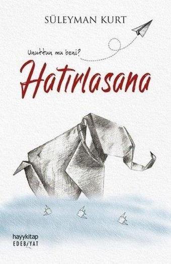 Hatırlasana - Süleyman Kurt - Hayykitap